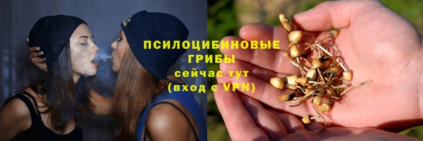 ПСИЛОЦИБИНОВЫЕ ГРИБЫ Абдулино