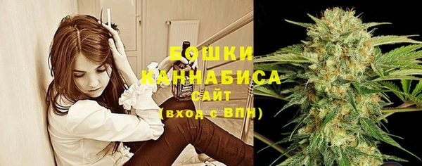 ПСИЛОЦИБИНОВЫЕ ГРИБЫ Абдулино