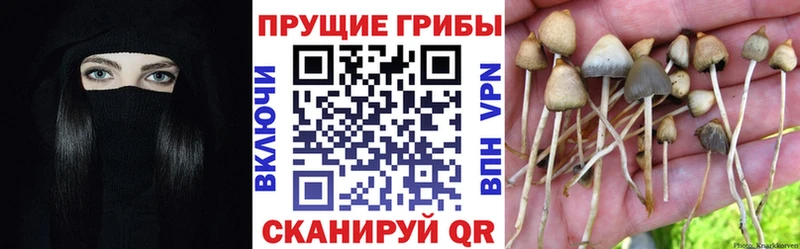Галлюциногенные грибы Magic Shrooms  OMG вход  Нижняя Салда 